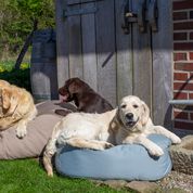 OUTBAG Cloud Plus M Liegekissen für Hund und Katze